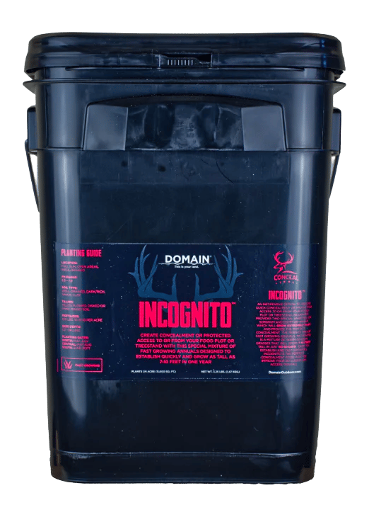 DOMAIN INCFP325    INCOGNITO