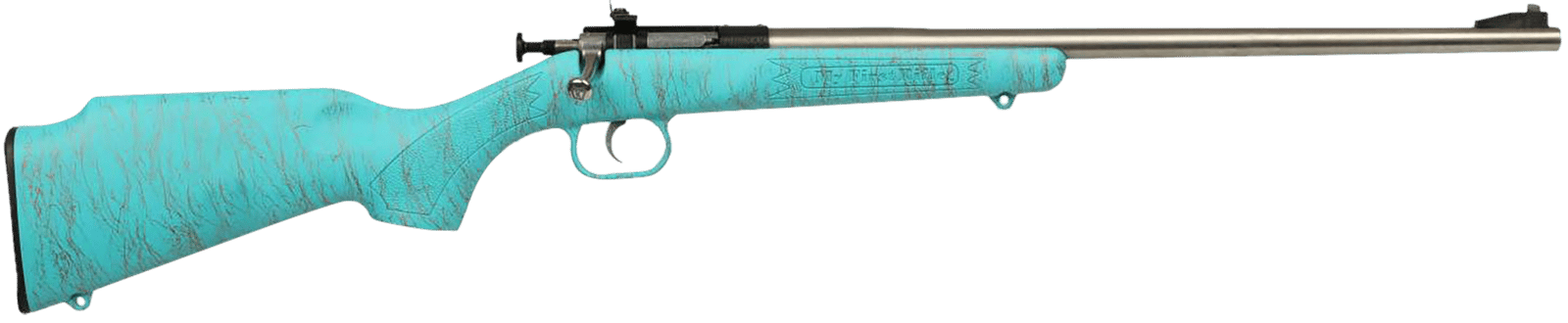 Crickett KSA2446 Gen2  Youth 22 LR 1rd 16.13" Stainless Single Shot Barrel, Stainless Steel Receiver, Blue w/Gold Webbing Fixed Synthetic Stock