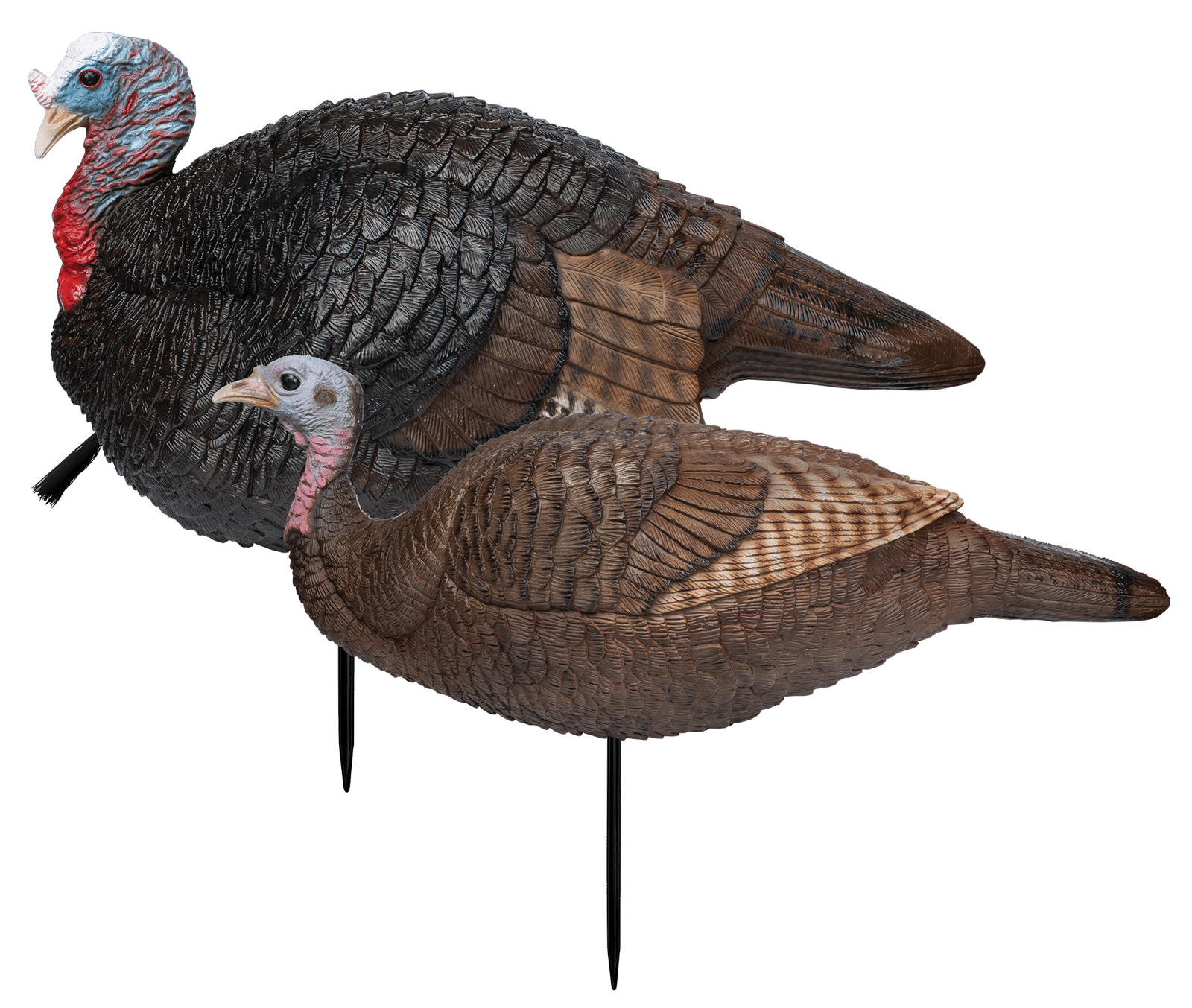 Primos 69075 Lil' Gobblestopper Jake & Hen Combo Turkey Species Multi Color
