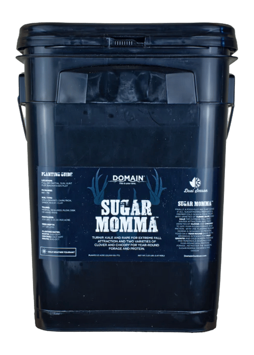 DOMAIN SMFP325     SUGAR MOMMA