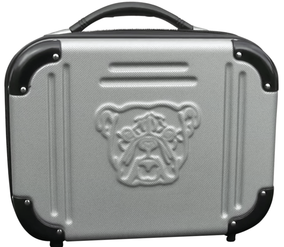 Bulldog BD580 Double Molded Pistol Case Black/Gray ABS Polymer Holds 4 Handguns