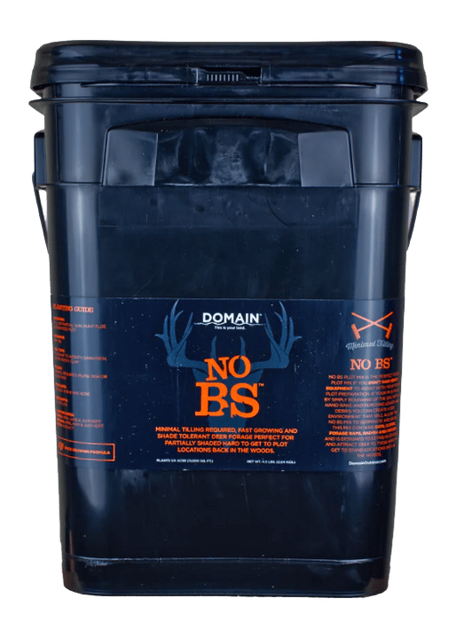 DOMAIN NBSFP45     NO BS