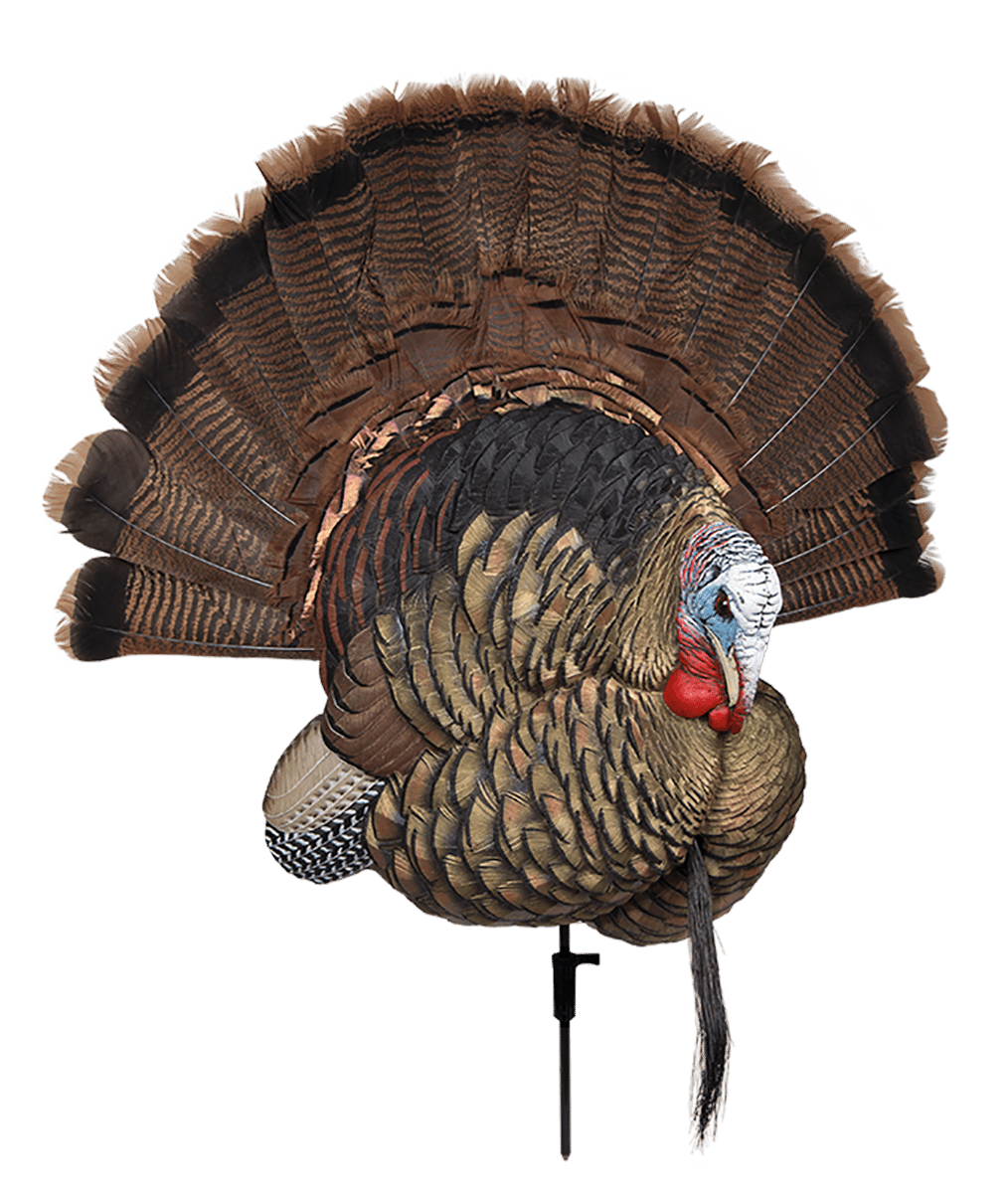 Avian X AVXAVX8021 Trophy Tom  Turkey Species Multi-Color *No Fan