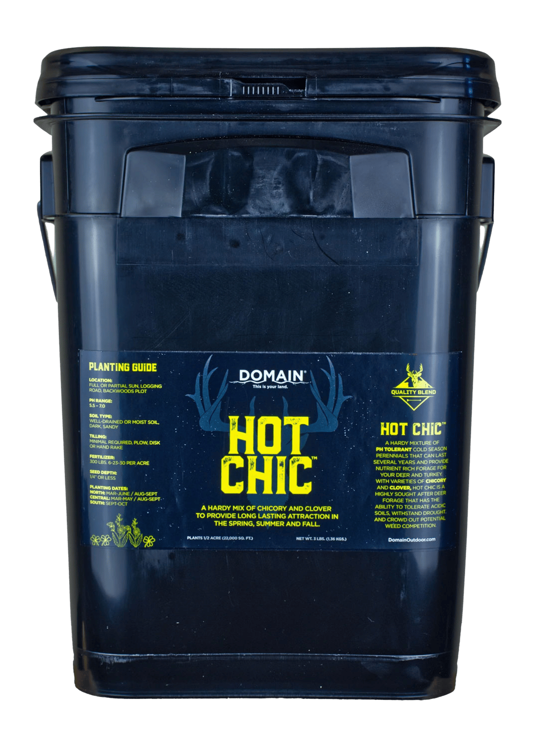DOMAIN HCFP34      HOT CHIC