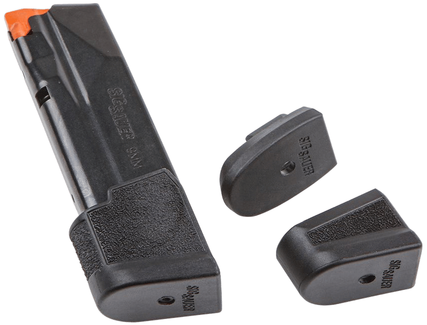 Sig Sauer 8900804 P365  17rd 9mm Luger Blued Steel
