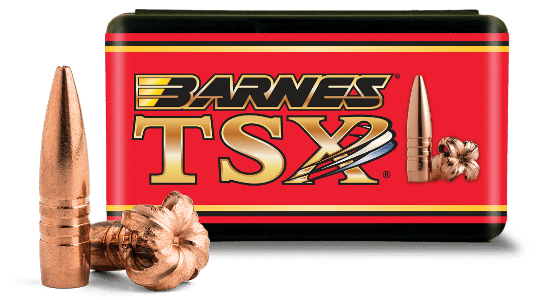 Barnes Bullets 30176 TSX 22Cal 45gr Flat Base 50/Box