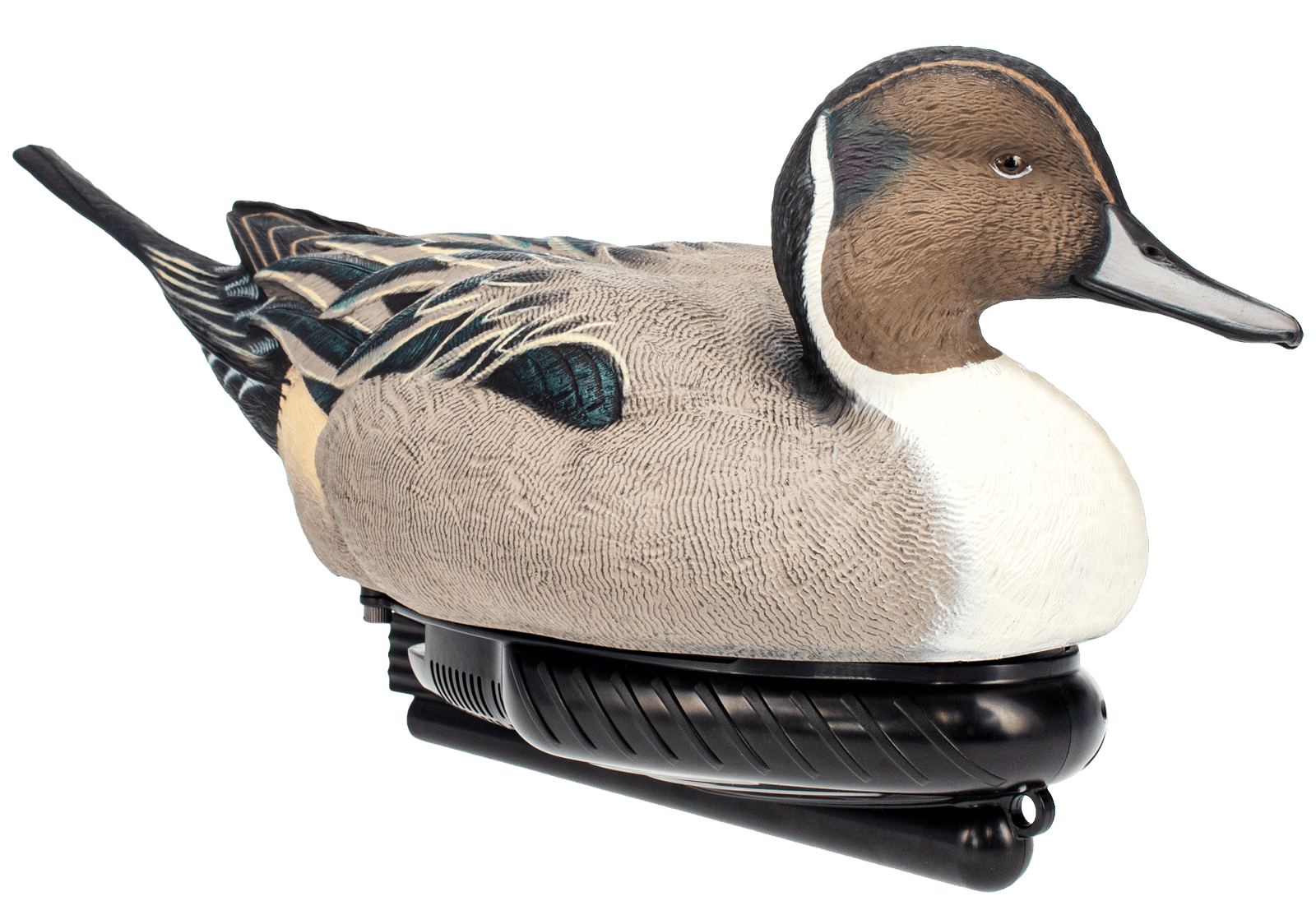 AVIAN AVX-PSW-PNSW  POWER SWIMMER PINTAIL DRAKE