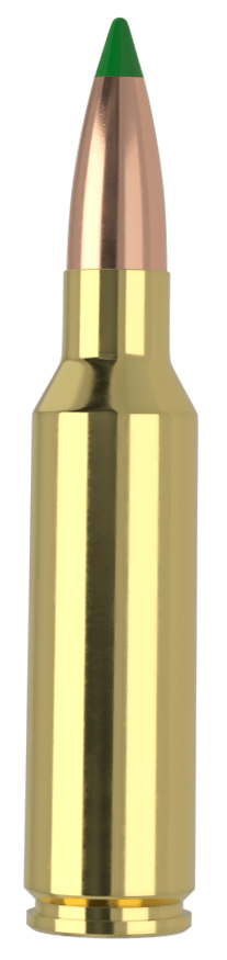 Nosler 61035   300WSM 165gr Ballistic Tip 20 Per Box/10 Case
