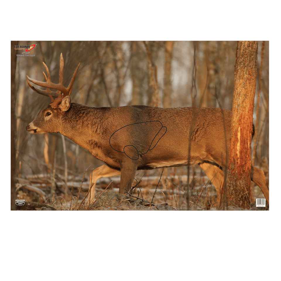 Birchwood Casey 37481 EZE-Scorer  Whitetail Deer Paper Hanging 23" x 35" Multi-Color 2 Per Pkg