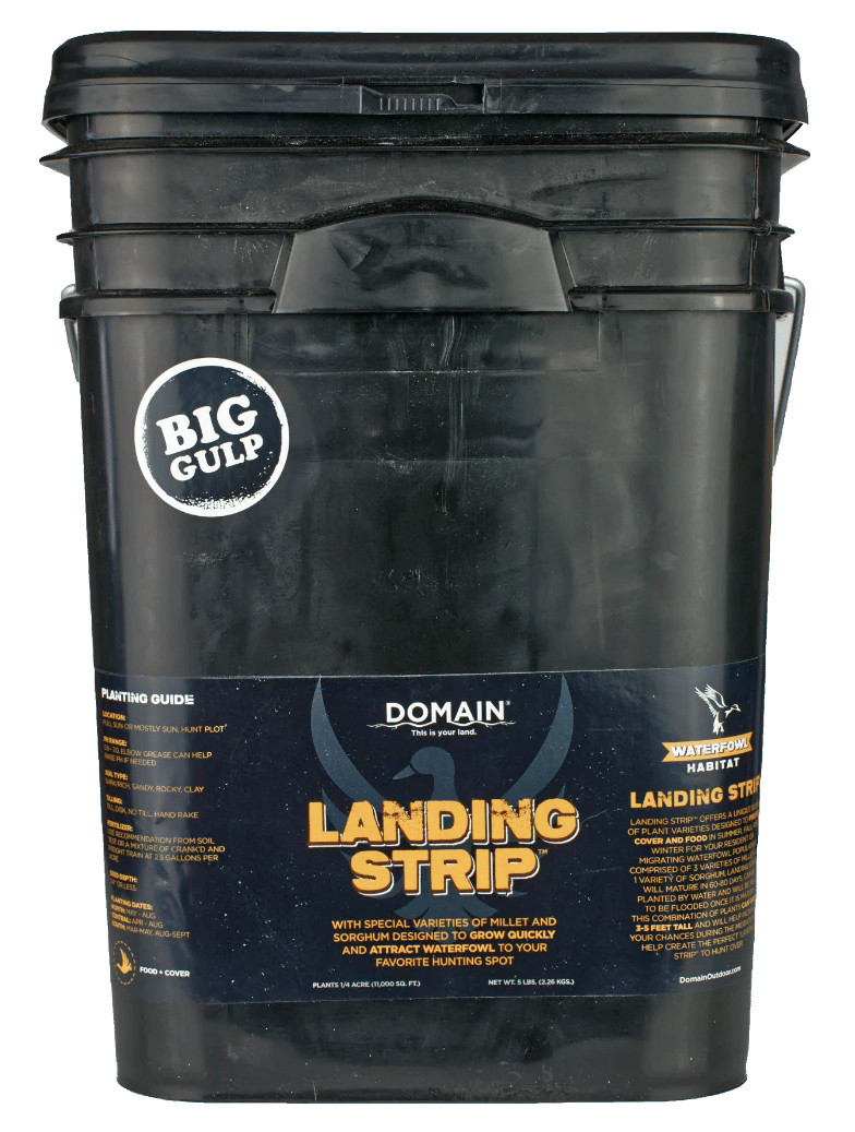 DOMAIN LSFP5       LANDING STRIP