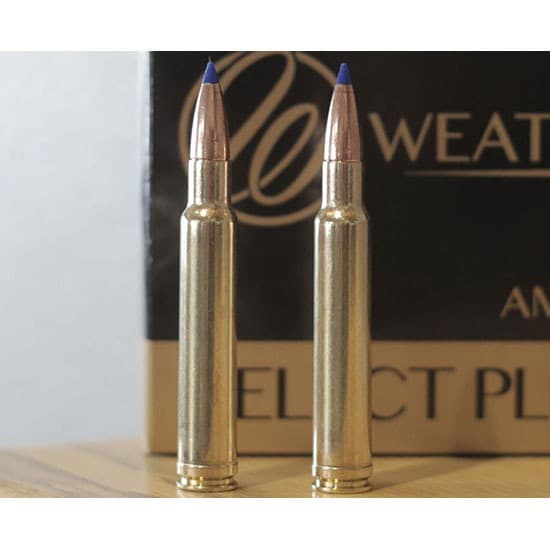 WBY 340WBY 225GR INT 20RD