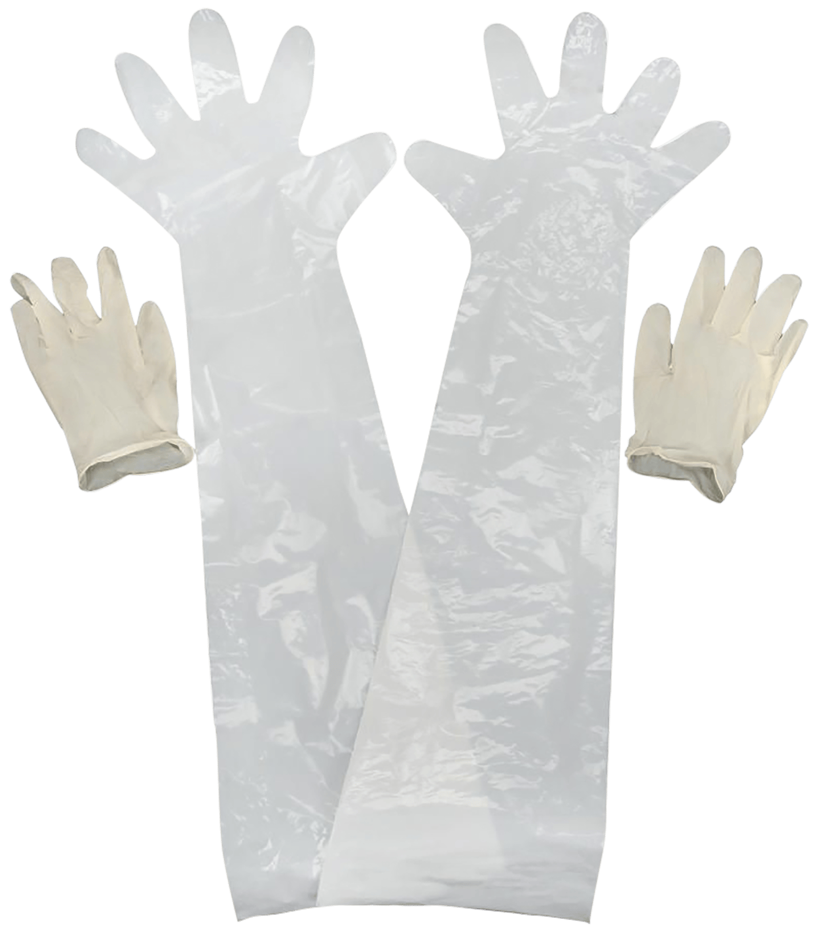 Allen 51 Field Dressing  Clear Shoulder/Wrist Latex 2 Pack