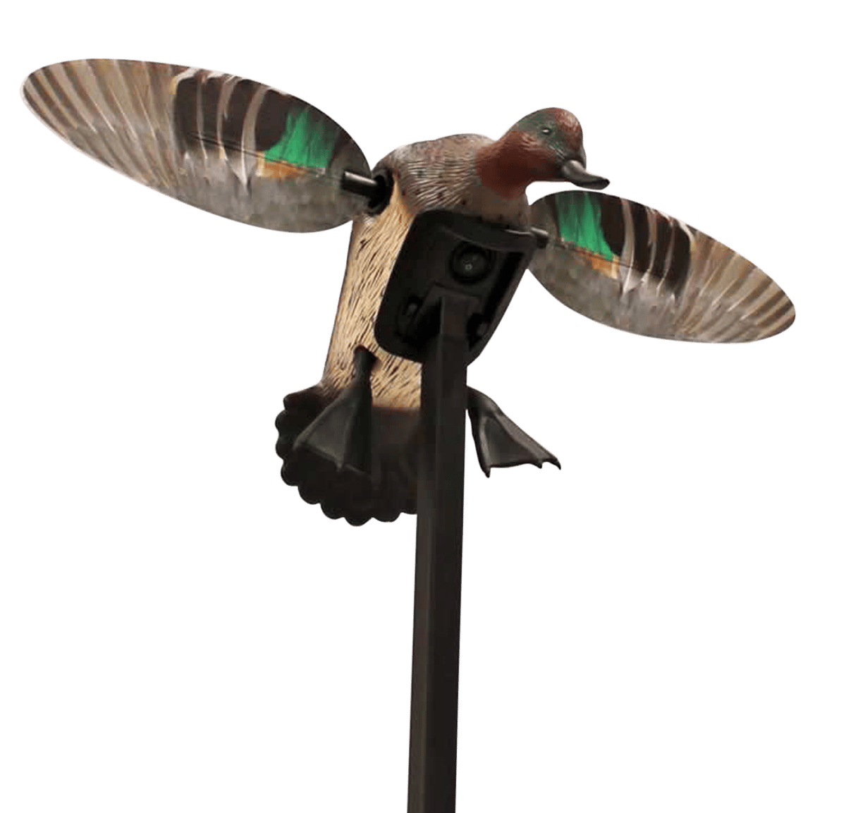 Mojo Outdoors HW24743P Elite Series Green Winged Teal Duck Species Natural Molded Plastic Features Remote Compatible