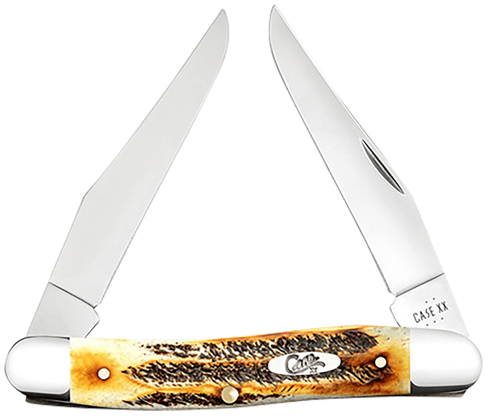 Case 65346 Muskrat  2.90" Folding Clip Point Plain Polished Tru-Sharp SS Blade, Burnt Dark Amber 6.5 BoneStag Handle