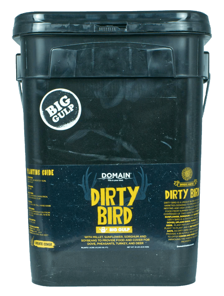 DOMAIN DBFP45      DIRTY BIRD