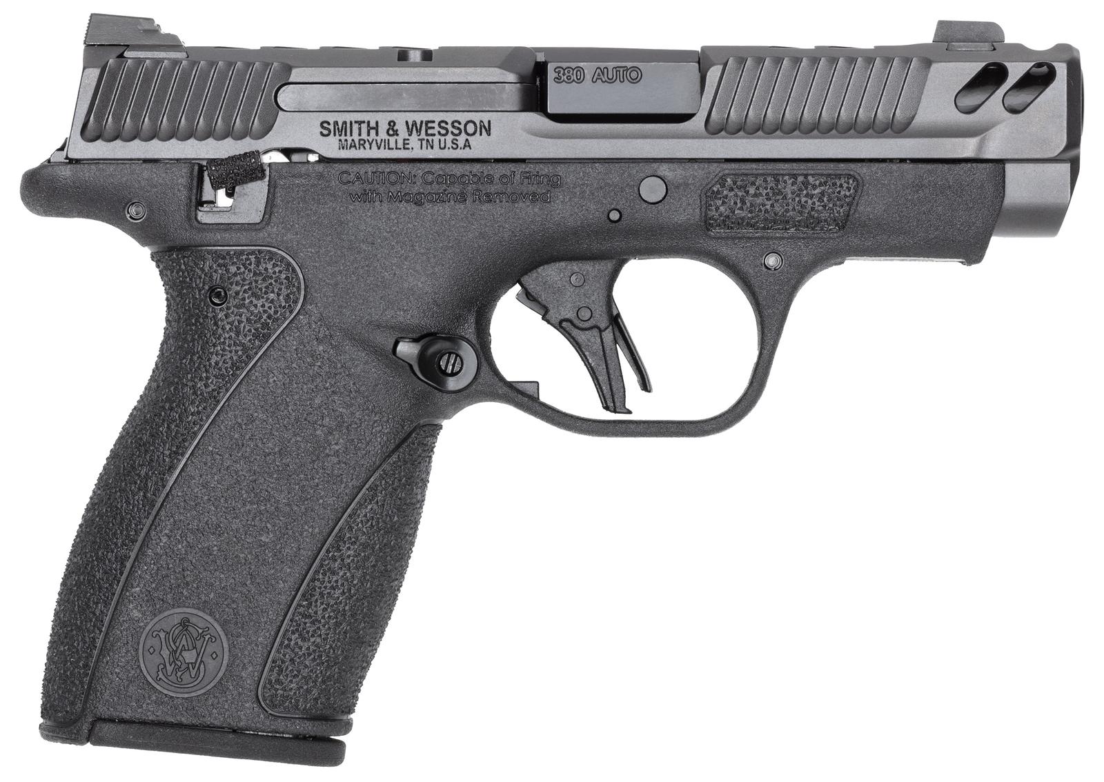 S&W BODYGRD 2.0 PC 14417 380 3.1 10/12R GRY/BLK TS