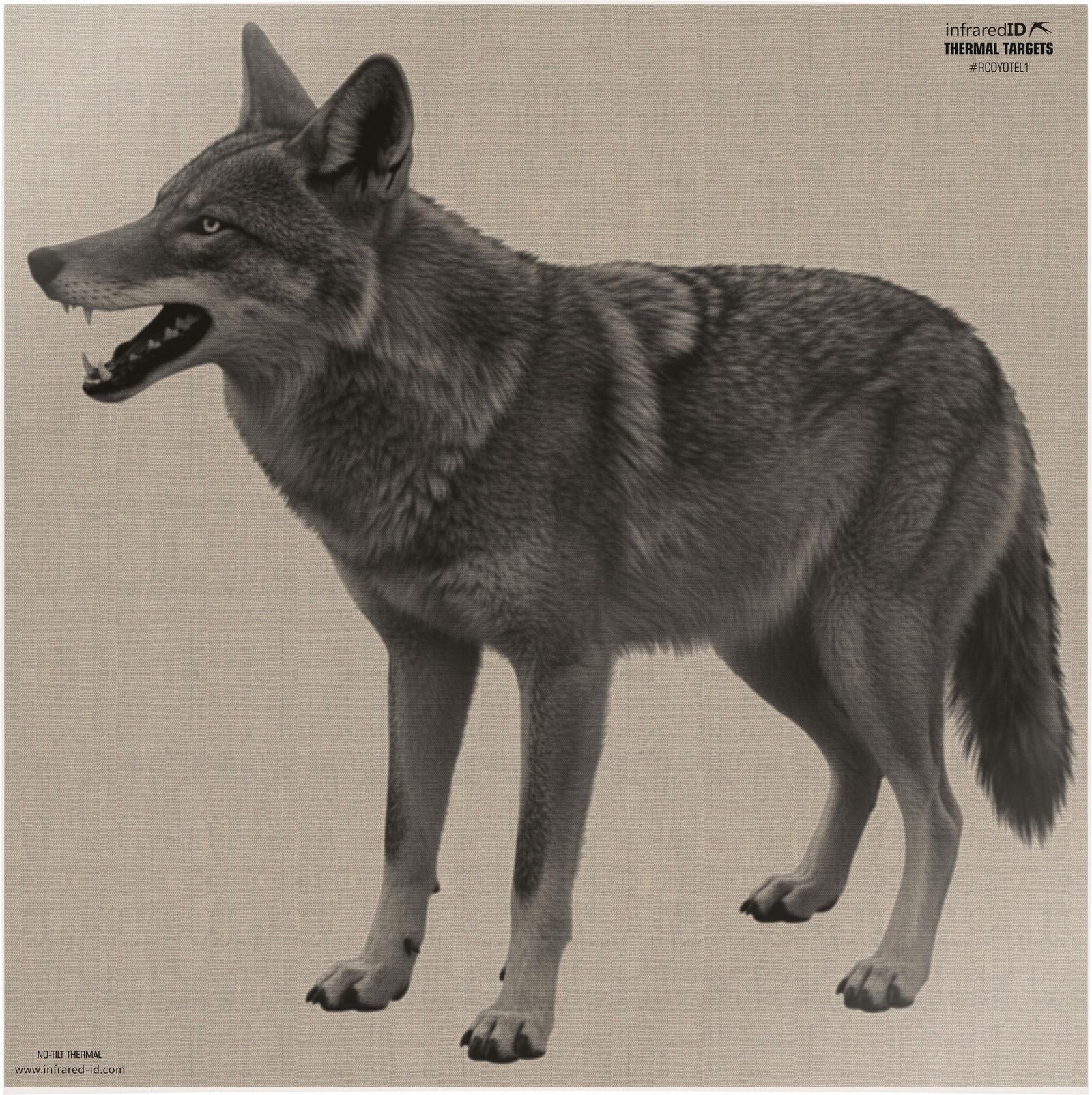 INFRARED-ID RCOYOTEL1   THERM COY TARGT