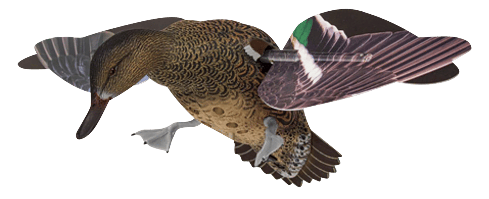 Avian X AVXPFLHT PowerFlight Hen Green-Winged Teal spinning wing decoy