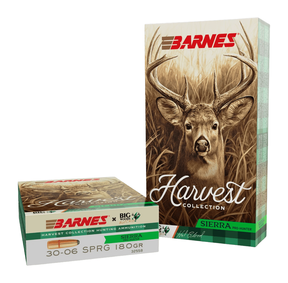 BRNS 32558  SIERRA PRO-HUNTER RN 3006 180GR  20/10
