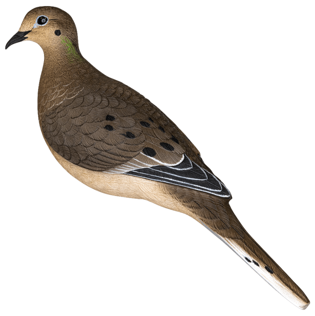 Avian X AVX-DOVE-6PK  Full Body Dove Multi-Color 6 Pack
