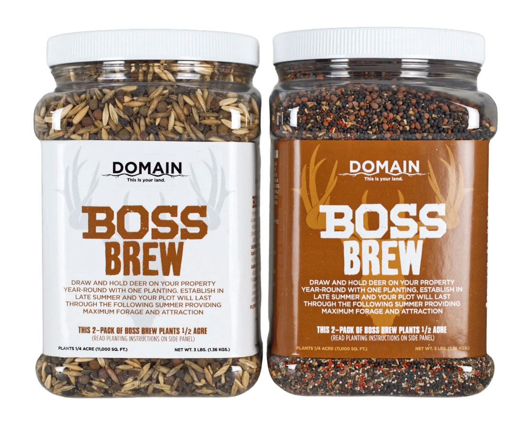 DOMAIN BBFP6       BOSS BREW
