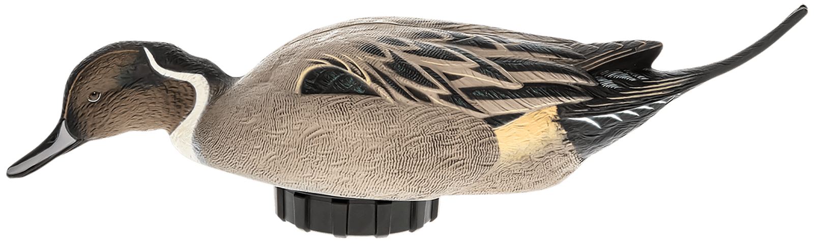 Avian X AVXPSHPNSF Power Shaker  Pintail Surface Feeder Duck Decoy Multi-Color