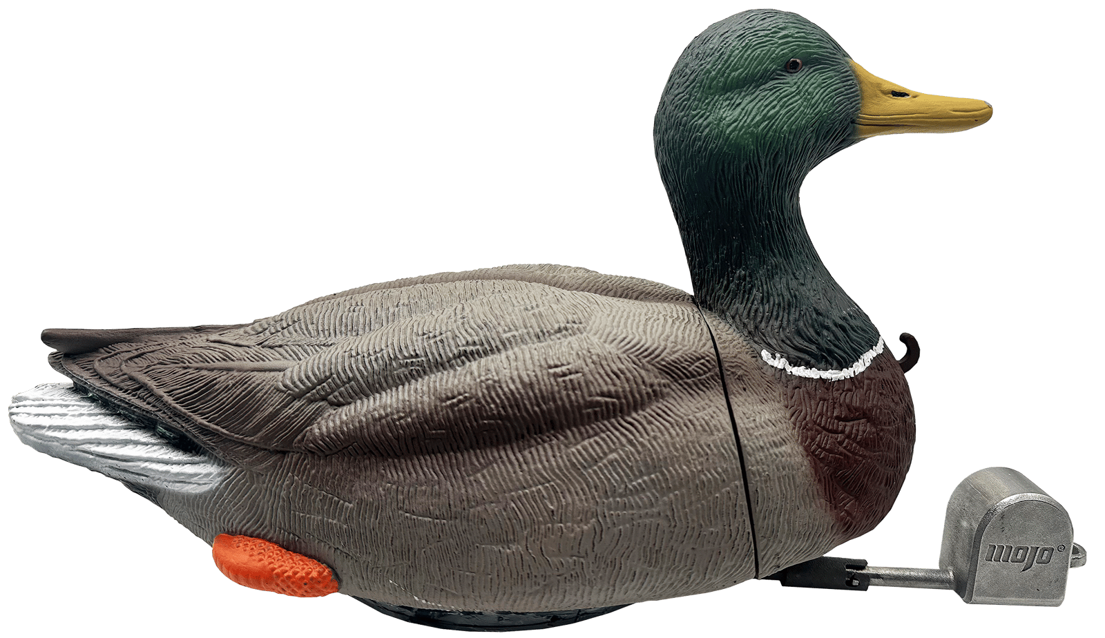 Mojo Outdoors HW2554 Dabbler Duck  Mallard Drake Species