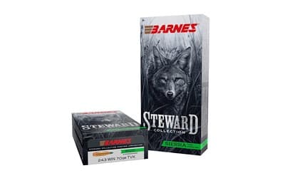 BARNES STWRD 243 WIN 70GR TVK 20/200