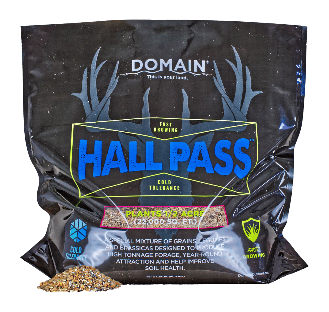 DOMAIN HPFP20      HALL PASS