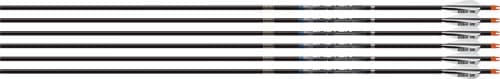 EASTON SONIC 6.0 MATCH 500 W/3" AAE HYBRID VANES 6-PACK<