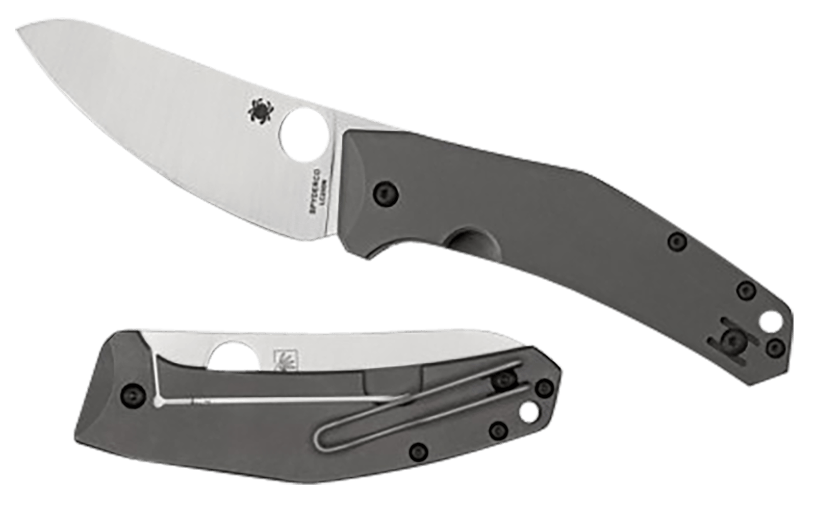 Spyderco C211TIP SpydieChef Salt 3.32" Folding Plain LC200N Blade Satin Titanium Handle Includes Pocket Clip