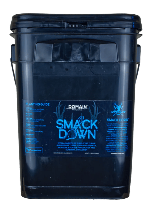 DOMAIN SDFP3       SMACK DOWN