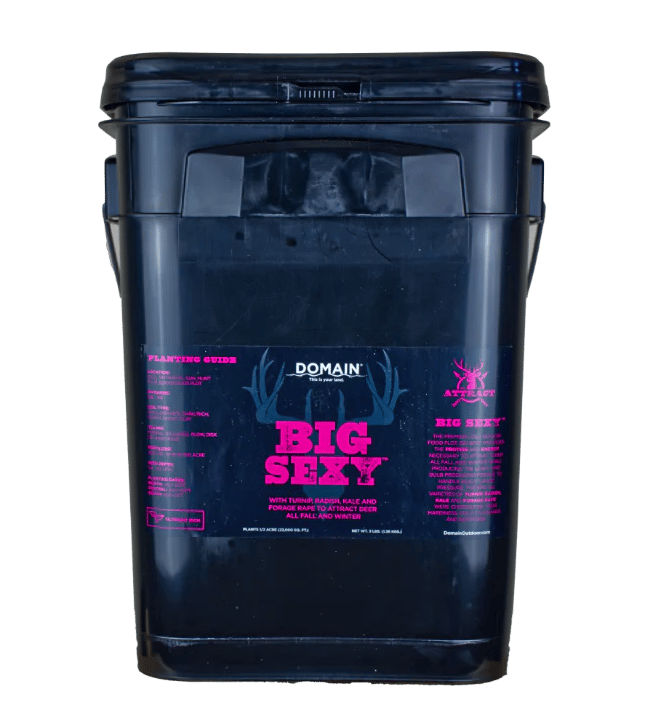DOMAIN BSFP34      BIG SEXY