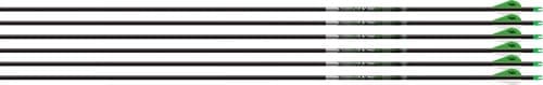 EASTON AXIS 5MM 300 W/ HALFOUT 6-PACK W/ 2" BLAZER VANES