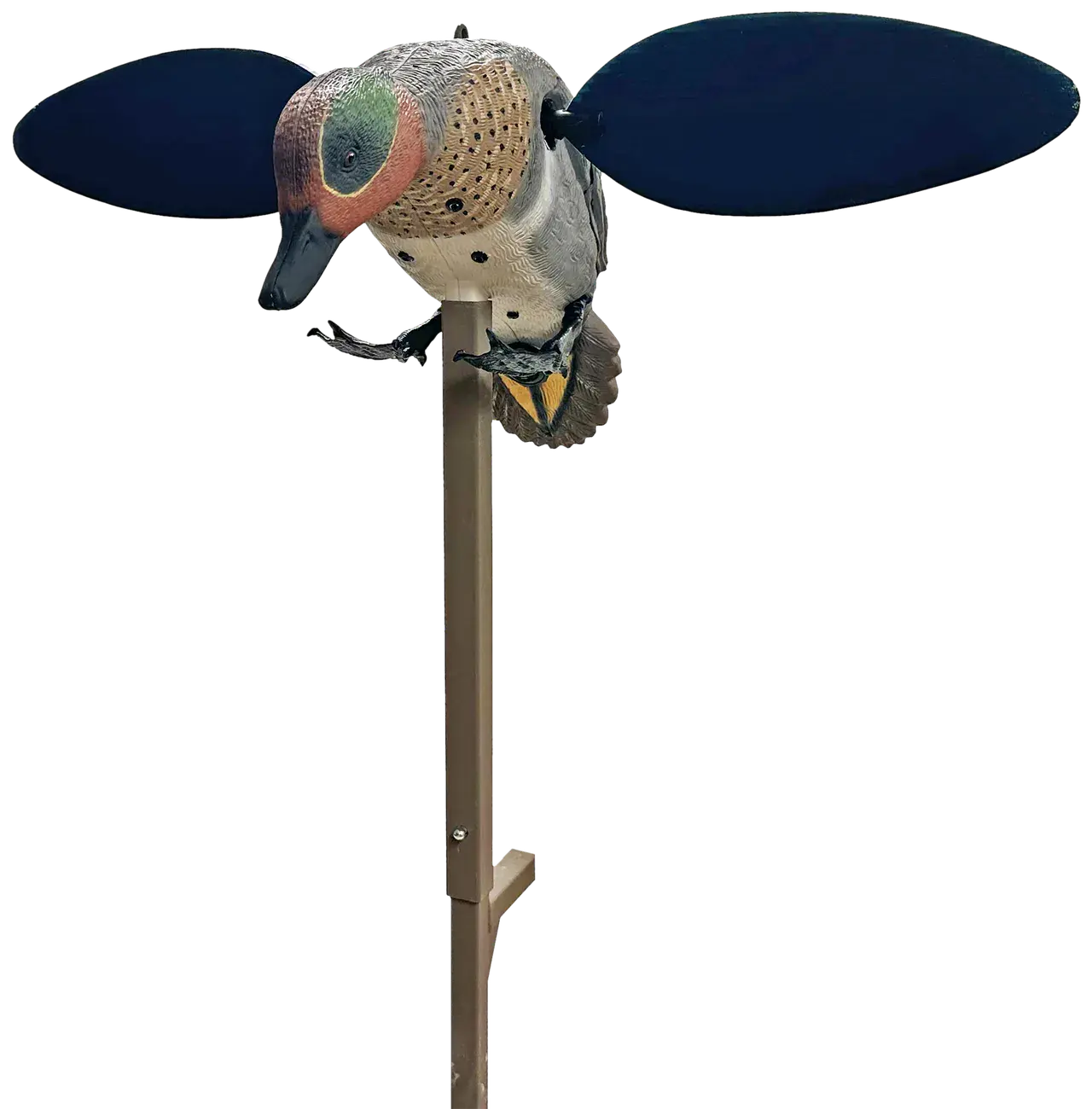 Mojo Outdoors HW2555 Green Winged Teal Teal Species